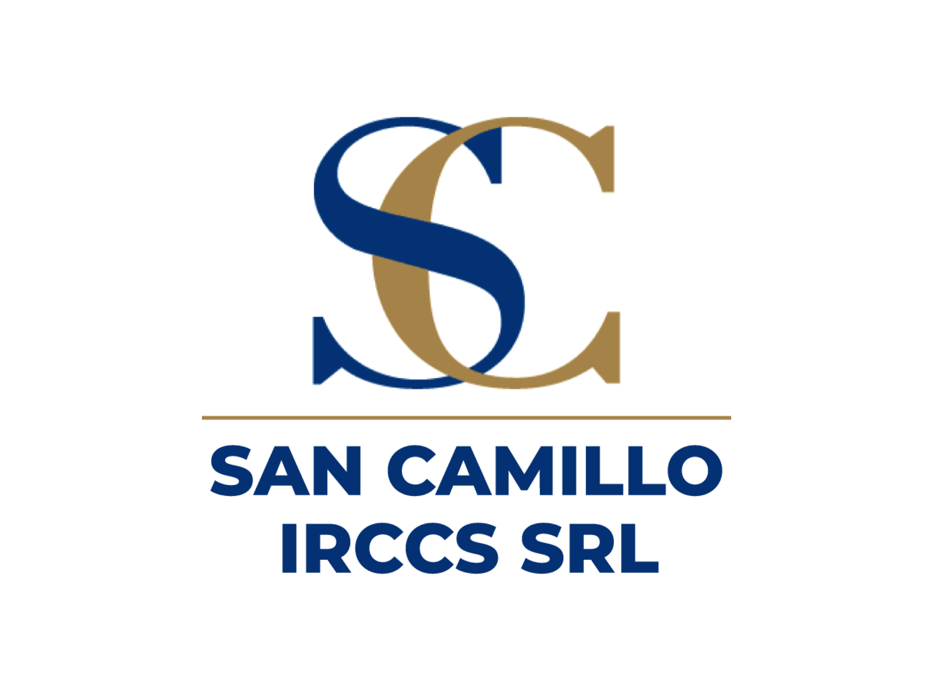 IRCCS Ospedale San Camillo的标志