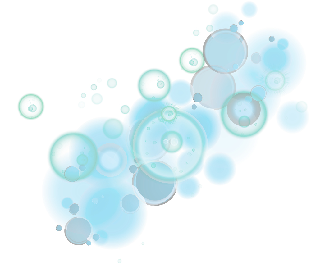 biogeochemical controls on palaeoceanographic